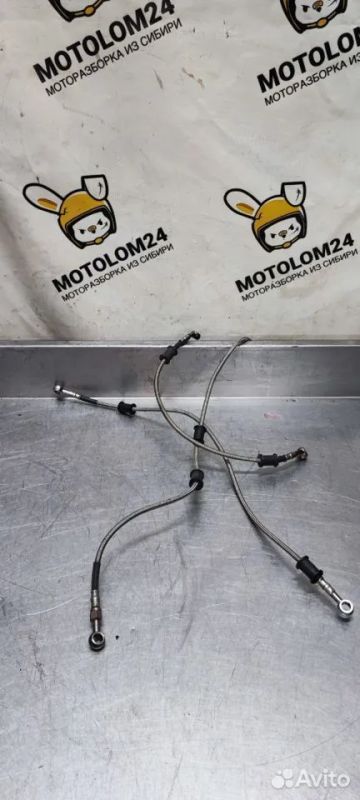 Лот: 22463320. Фото: 1. Тормозные шланги арм. Suzuki gsx... Запчасти