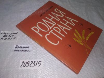 Лот: 24928131. Фото: 1. (2092315)Яковлев Юрий. Родная... Художественная для детей