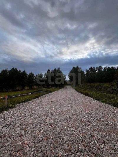 Лот: 25297948. Фото: 1. участок , урочище Грива урочище... Земельные участки