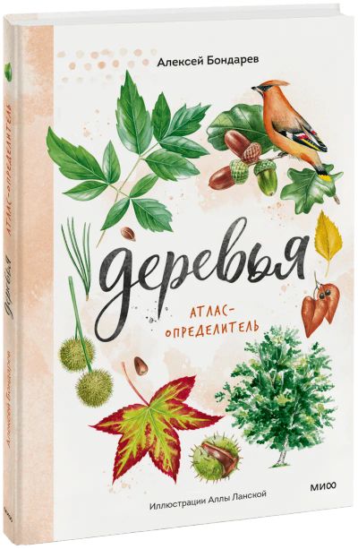 Лот: 24457953. Фото: 1. Деревья. Атлас-определитель. Художественная для детей
