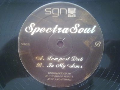 Лот: 3711357. Фото: 1. Vinyl Drum & Bass Spectra Soul... Аудиозаписи