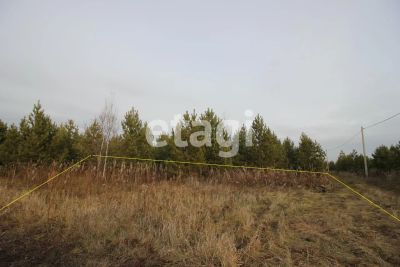 Лот: 25297994. Фото: 1. участок , деревня Мужичкино Дивная... Земельные участки