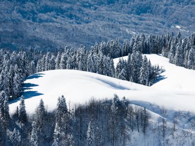 Лот: 5586107. Фото: 1. доля в частном доме. Дома