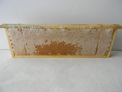 Лот: 18557051. Фото: 1. Мёд в сотах. Мёд, продукты пчеловодства