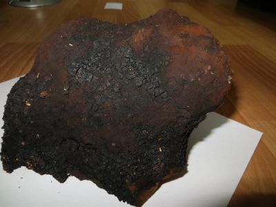 Лот: 9924644. Фото: 1. Чага ( куском ). Народная медицина, БАДы