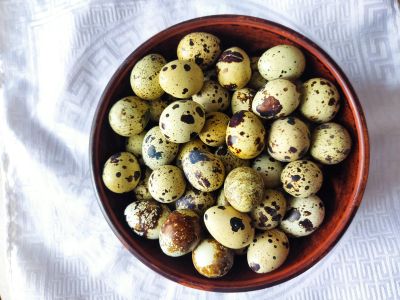 Лот: 20045890. Фото: 1. Яйцо инкубационное. Мясо, птица, яйцо