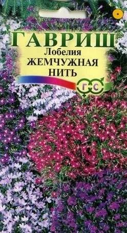 Лот: 11025408. Фото: 1. Лобелия Жемчужная нить. Садовые цветы