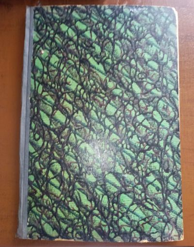 Лот: 25359296. Фото: 1. В.И. Лапин. Историческая повесть... Книги