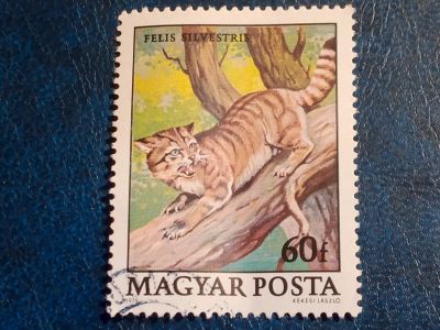 Лот: 24989209. Фото: 1. - Марки для Вашей коллекции. лот... Марки