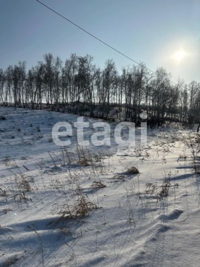 Лот: 25293650. Фото: 1. участок , СТ Пионер СТ Пионер... Земельные участки