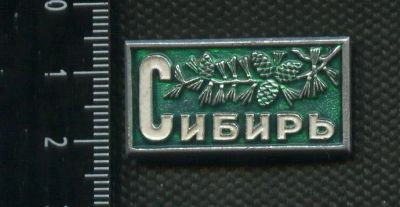 Лот: 19239779. Фото: 1. ( № 5506 ) значки,флора фауна... Сувенирные