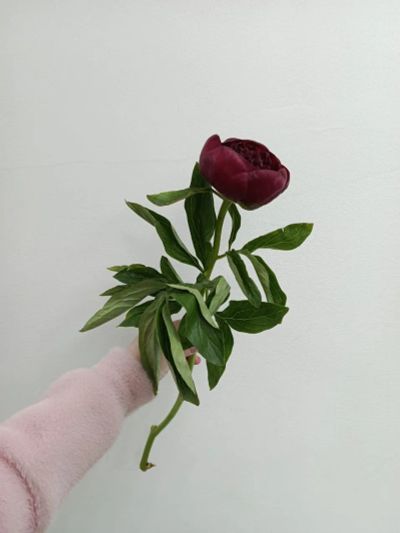 Лот: 25556103. Фото: 1. пион. Искусственные и сувенирные цветы