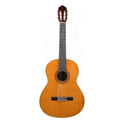 Лот: 24472730. Фото: 1. Акустическая гитара Yamaha C40. Гитары