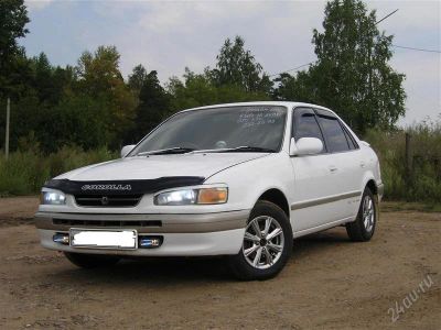 Лот: 1137877. Фото: 1. Toyota Corolla. Автомобили