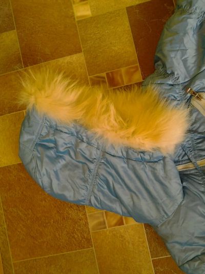 Лот: 8447118. Фото: 1. Пуховик голубой Snowimage. Верхняя одежда