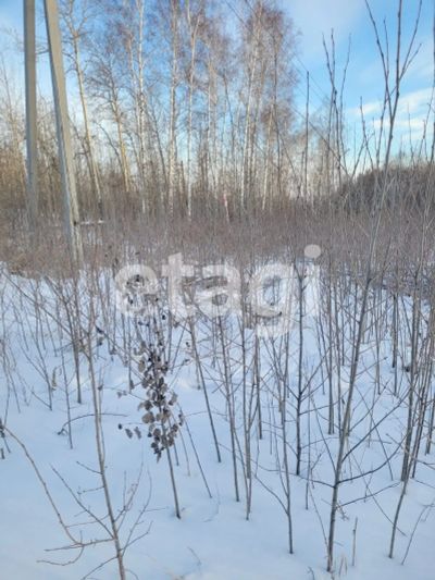 Лот: 25299031. Фото: 1. участок , дачное некоммерческое... Земельные участки