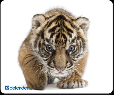 Лот: 5535859. Фото: 1. Коврик Defender для мыши, шелковый... Коврики