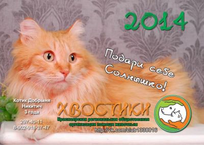 Лот: 2831558. Фото: 1. Добрыня Никитич. Кошки, котята