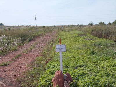 Лот: 3930738. Фото: 1. земельный участок. Земельные участки