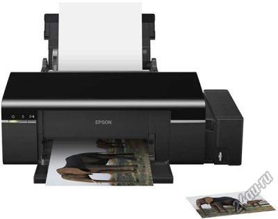 Лот: 4919209. Фото: 1. Принтер Epson L800 A4. Струйные принтеры