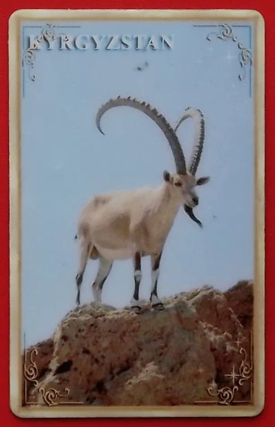 Лот: 24397503. Фото: 1. (№914) пластиковая карта "Сибирский... Телефонные, пластиковые карты