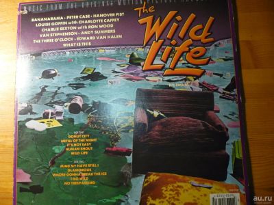Лот: 8834170. Фото: 1. The Wild Life. MCA Records. Аудиозаписи