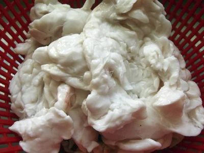 Лот: 3369881. Фото: 1. Козий жир (сырец). Мясо, птица, яйцо
