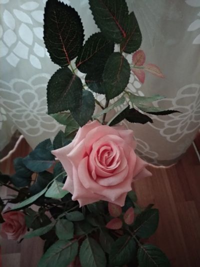 Лот: 15028070. Фото: 1. Интерьерный цветок Роза / Украшение... Искусственные и сувенирные цветы