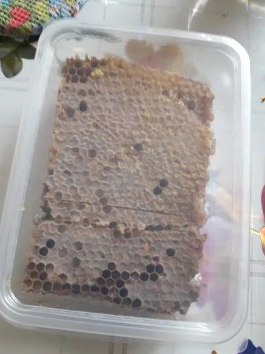 Лот: 11498976. Фото: 1. Мед В сотах (500 грамм). Мёд, продукты пчеловодства