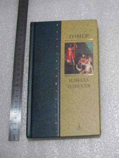 Лот: 22558107. Фото: 1. Гомер. Илиада. Одиссея. 2005 г... Другое (детям и родителям)