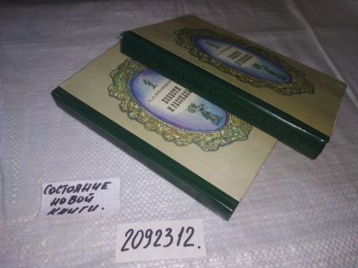 Лот: 19429790. Фото: 1. (2092312)(1092366) Боборыкин П... Художественная
