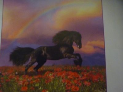 Лот: 3537771. Фото: 1. продам фото обои с рубля(мустанг... Обои, панели, ДВП, ДСП, МДФ