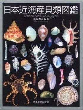 Лот: 2232477. Фото: 1. Marine mollusks of japan. Раковина... Другое (литература, книги)