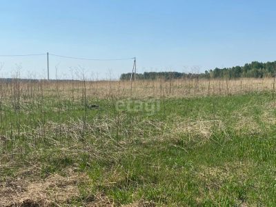 Лот: 25296974. Фото: 1. участок , посёлок Берёзовая Роща... Земельные участки