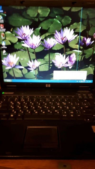 Лот: 12036188. Фото: 1. Ноутбук HP NX6110 (IDE HDD) по... Ноутбуки