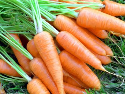 Лот: 8969789. Фото: 1. Морковь. Овощи, фрукты, зелень