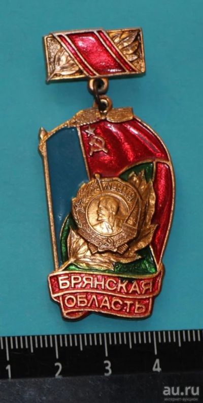 Лот: 9346138. Фото: 1. Знак на подвеске: Брянская область... Сувенирные