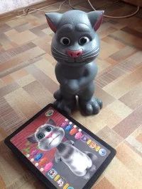 Лот: 7254484. Фото: 1. Котяра Том (не забрали). Музыкальные
