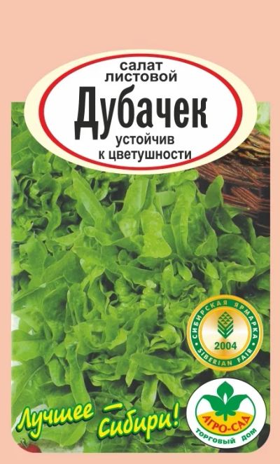 Лот: 10985073. Фото: 1. Семена салата "Дубачек" - устойчив... Овощи