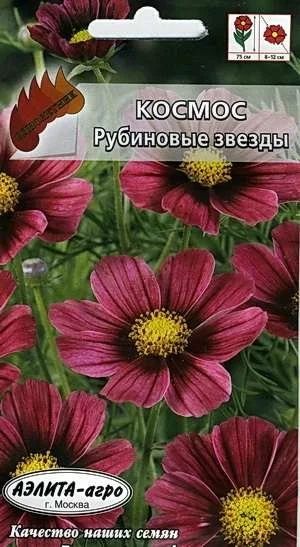 Лот: 11024360. Фото: 1. Космос Рубиновые Звезды 0,1гр... Садовые цветы