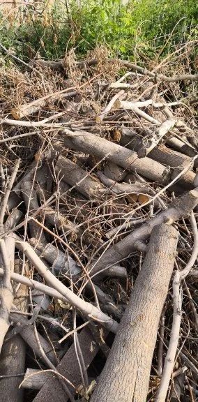 Лот: 14128764. Фото: 1. Дрова. Другие (дрова, топливо)