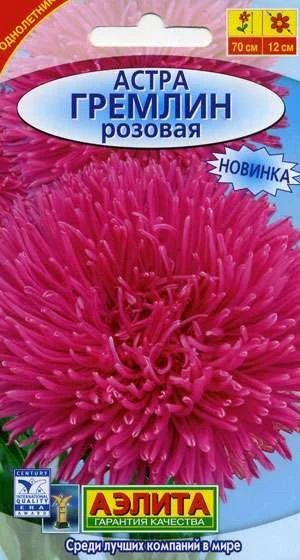 Лот: 11023052. Фото: 1. Астра Гремлин розовая Е/п Н8. Садовые цветы