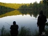 Лот: 3696790. Фото: 1. Продам дом партизанский район... Дома