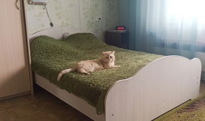 Лот: 25360116. Фото: 1. 1-комнатная квартира. Квартиры, студии