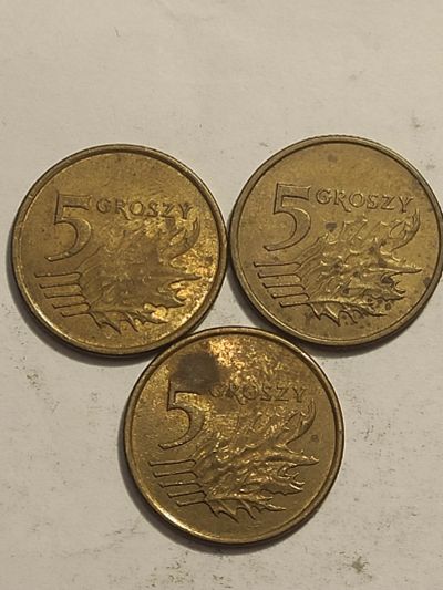 Лот: 25120033. Фото: 1. Три монеты Польши по 5 грошей. Европа