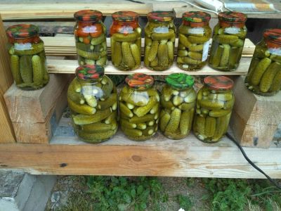 Лот: 6453613. Фото: 1. Маринованные огурцы. Овощи, фрукты, зелень