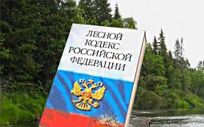 Лот: 5803029. Фото: 1. Проект лесного участка. Проекты, чертежи