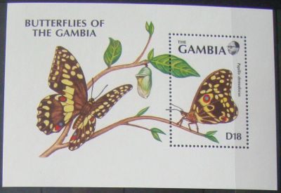 Лот: 10456209. Фото: 1. Гамбия 1991 бл MNH. Марки