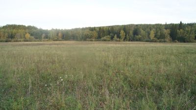 Лот: 5046875. Фото: 1. Продаю землю в Большемуртинском... Земельные участки