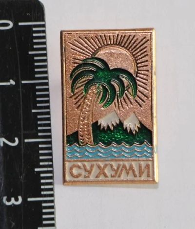 Лот: 11540639. Фото: 1. Значок: Сухуми. Абхазия. Пальма... Сувенирные